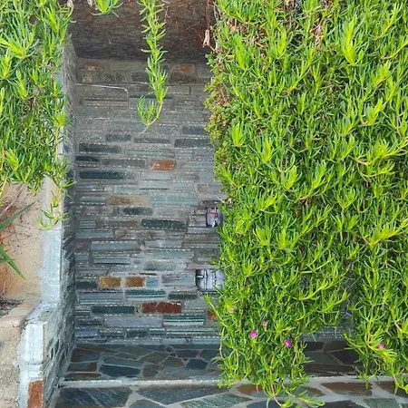 度假居 Aegean Beachfront Petriaí